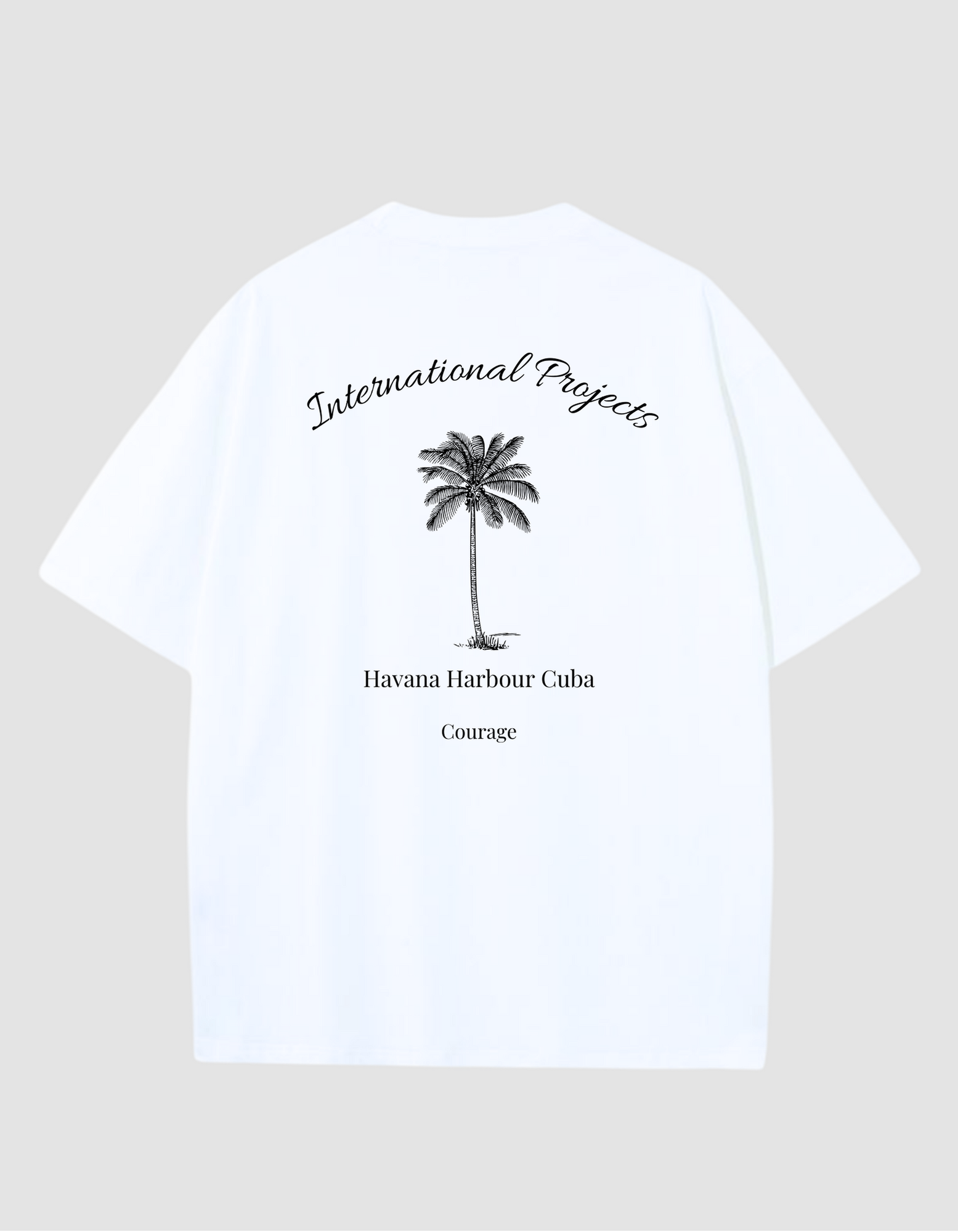 international-projects-palm-t-shirt-wit-achterkant
